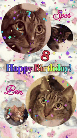 Happy Birthday GIF