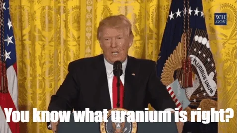 get donald trump GIF