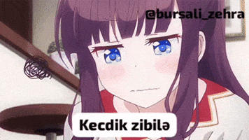 Bursalizehra GIF