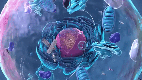 Cells GIFs - Get the best GIF on GIPHY