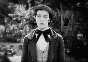 buster keaton general reaction to life GIF by Maudit
