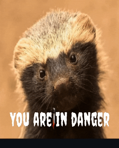 You Are In Danger GIF