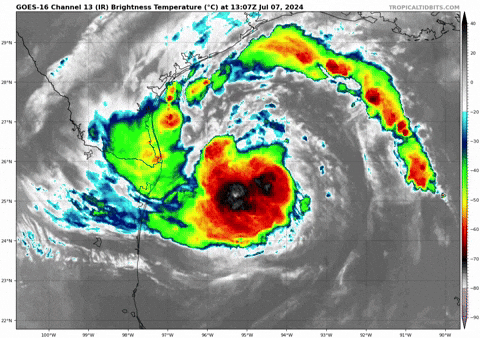 giphy.gif?cid=9b38fe91qea6l3xzt1t5ip8kj8