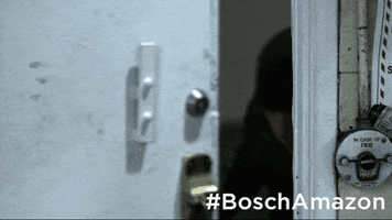 GIF by Bosch