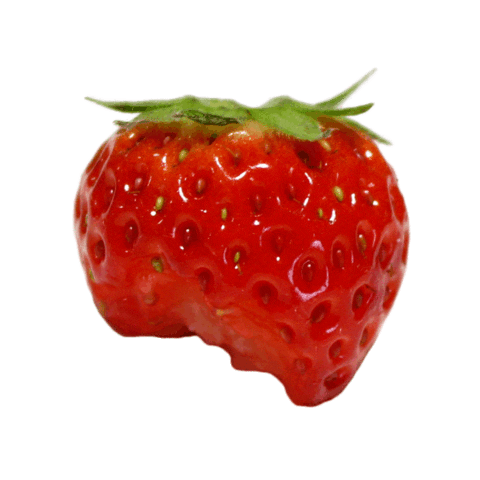 Strawberry Eat Sticker by なまいキッズ