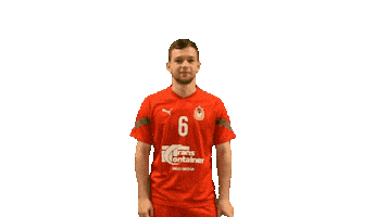 Cskahandball Sticker by CSKA men's handball club