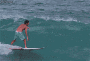 like a boss surfing GIF