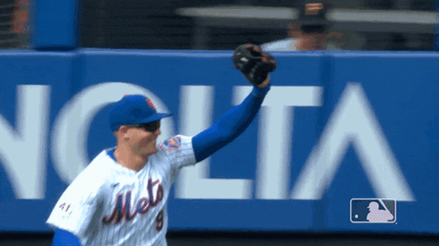 Happy Brandon Nimmo GIF by New York Mets - Find & Share on GIPHY