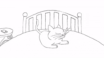 Cat Loop GIF by Rullampo
