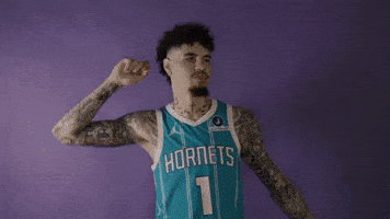 Lamelo Ball Basketball GIF by Charlotte Hornets