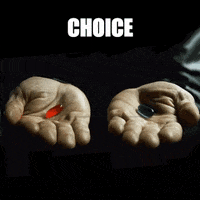 OTHERCOLORS matrix illusion choice choix GIF