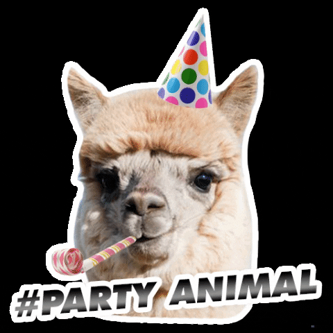 Party GIF