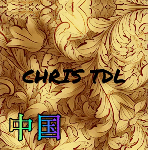 Chris_TDL_China china chris tdl 中国 承包商 GIF
