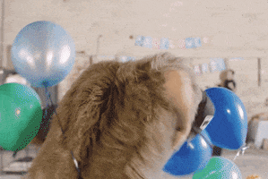 Celebration Birthday GIF by Badflower