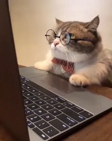 Mad The Internet GIF by moodman