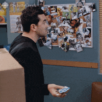 dan levy what GIF by CBC