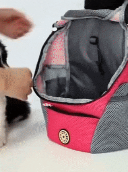 Hunde-Tragerucksack für kleine & mittelgroße Hunde bis max. 11 kg - super bequem & größenverstellbar_