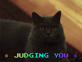 Cat GIF