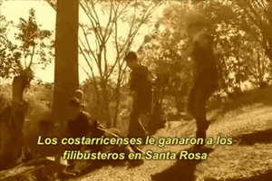 paulasiles  GIF