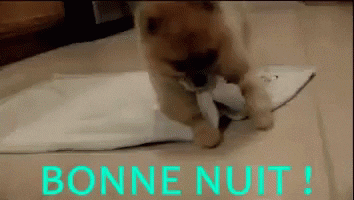 Bonne Nuit GIFs - Get the best GIF on GIPHY