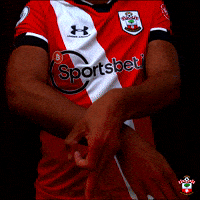 southamptonfc-Vd2D6zZSOuhH6A9xkc