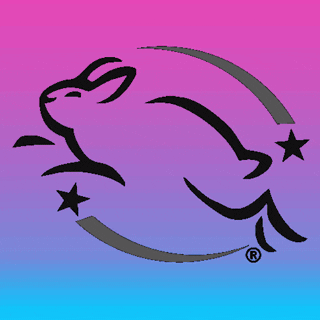 Leaping Bunny GIF