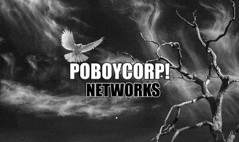 Poboycorp Networks GIF