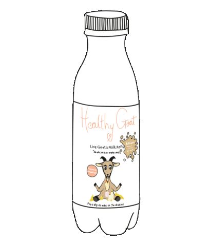 Live Kefir Company Sticker