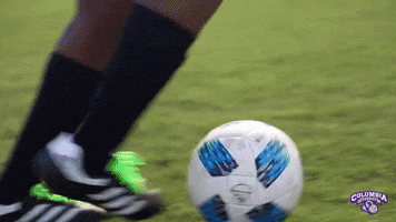 Soccer Women GIF by Columbia College