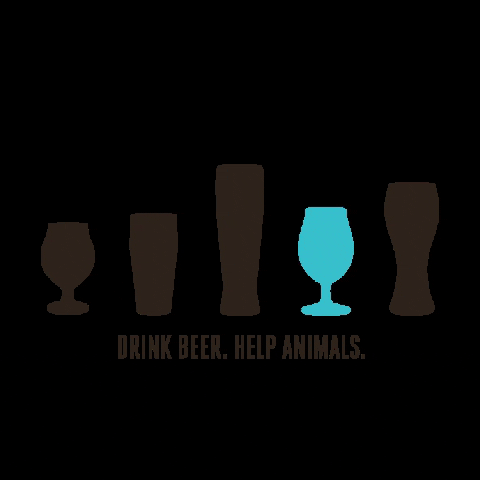 Metazoa Brewing GIF