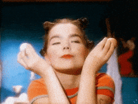 bjork-wonderful-VdyHwXmlV7qog