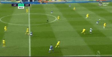 Leicester GIF