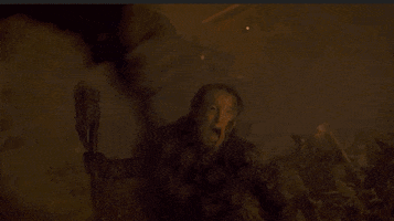 game of thrones lyanna mormont GIF by Vulture.com