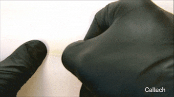 200.gif?cid=fc005b0845febb22f1347a002a49792a383da2fcd15f9141&rid=200.gif&ct=g