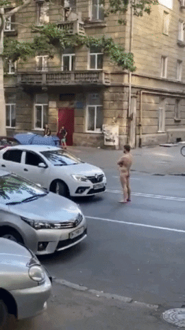 Msm GIF