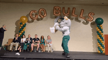 Usf Go Bulls GIF by University of South Florida