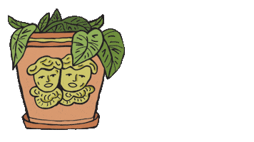 Plant Growing Sticker