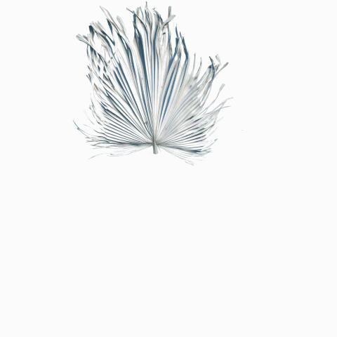 Hartwig GIF