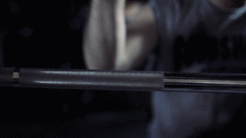 GIF by Gongshow Gear Inc.