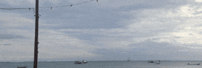 Beach See GIF by FLYLA