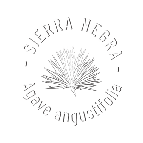 Mezcal Los Danzantes Sticker