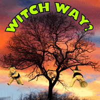 Which Way Halloween GIF