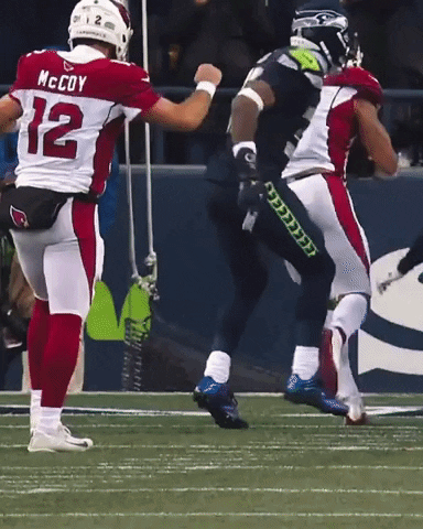 Celebrate Hands Up GIF by Arizona Cardinals