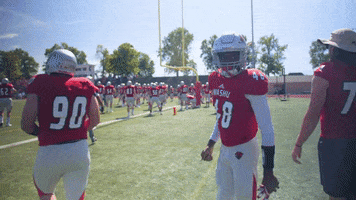 College Football GIF by Washington University in St. Louis
