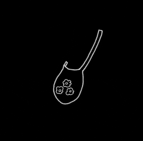 Bag GIF