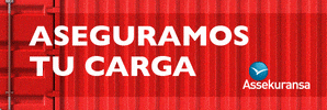 Assekuransa GIF