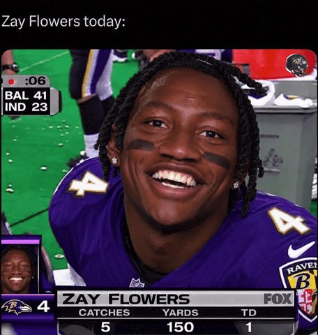 Baltimore Ravens GIF