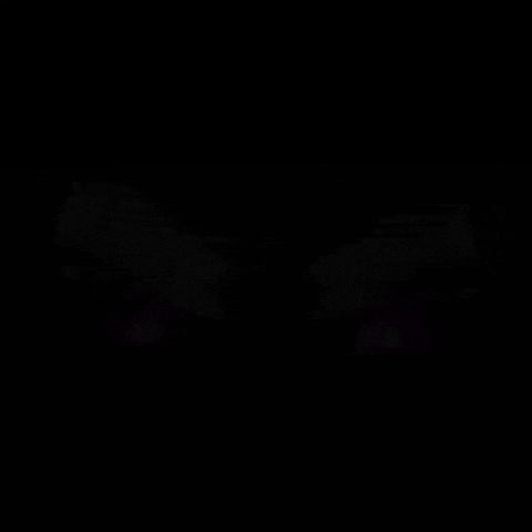 Reso Falter GIF by RSNZRFLXN