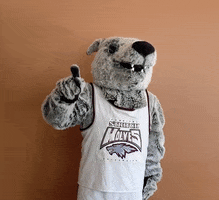Look Up Wolf Pack GIF by Cardinal Stritch University