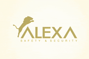 Alexa Safety & Security GIF